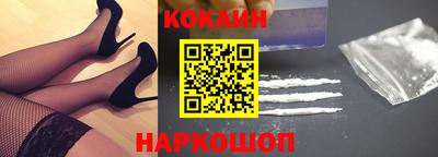 стаф Можга