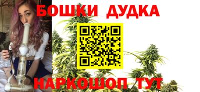 МДПВ Моздок