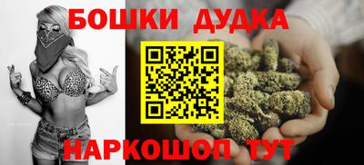 стаф Можга