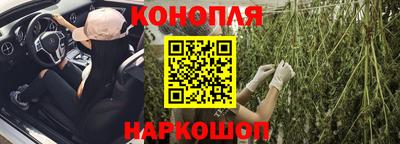 стаф Можга